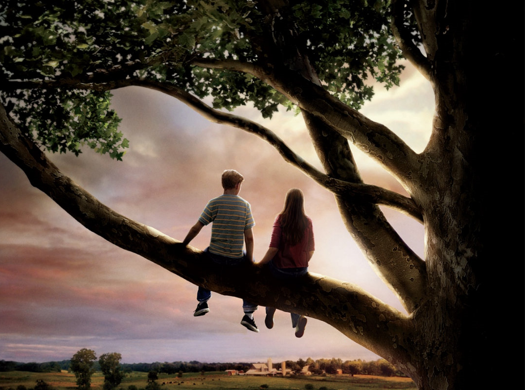 生命中的那些宝藏